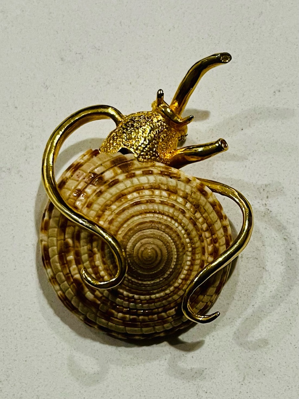 Vintage Shell Snail Brooch Gold Tone Coastal Art Pin